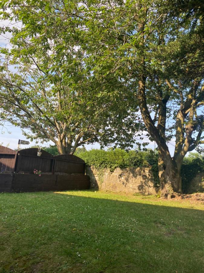 North Lodge Self Contained Guest Accommodations Kilkea 외부 사진