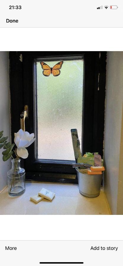 North Lodge Self Contained Guest Accommodations Kilkea 외부 사진